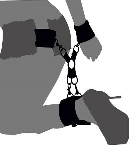 lovedildos.com - Love Dildos - Loving Joy Hog Tie Set